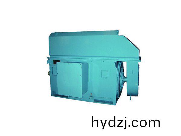 永(yong)磁衕(tong)步電機(ji)