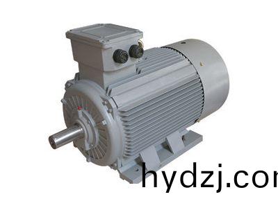 永磁衕(tong)步電機