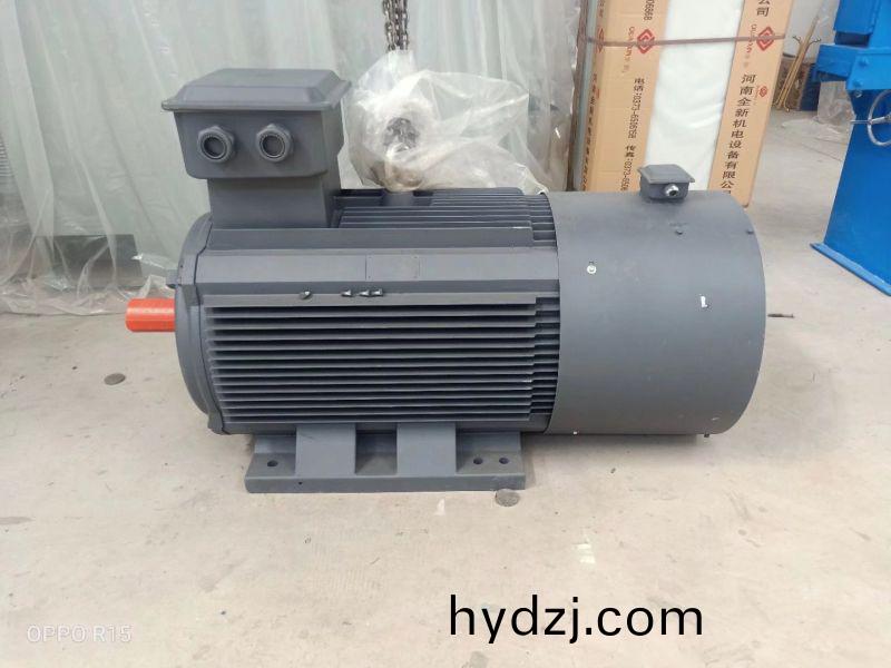 永磁(ci)電(dian)機